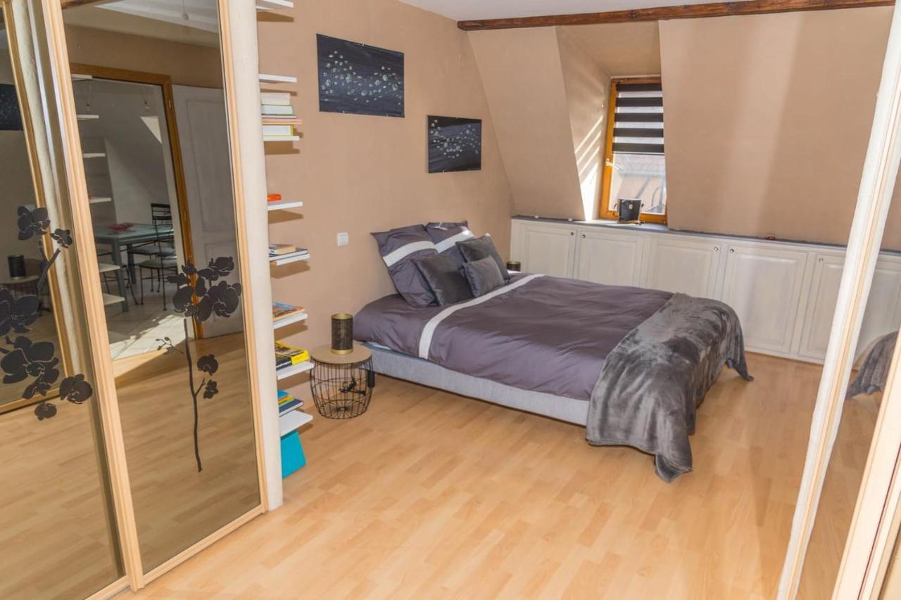 Charmant Appartement Alsacien Ribeauvillé Buitenkant foto