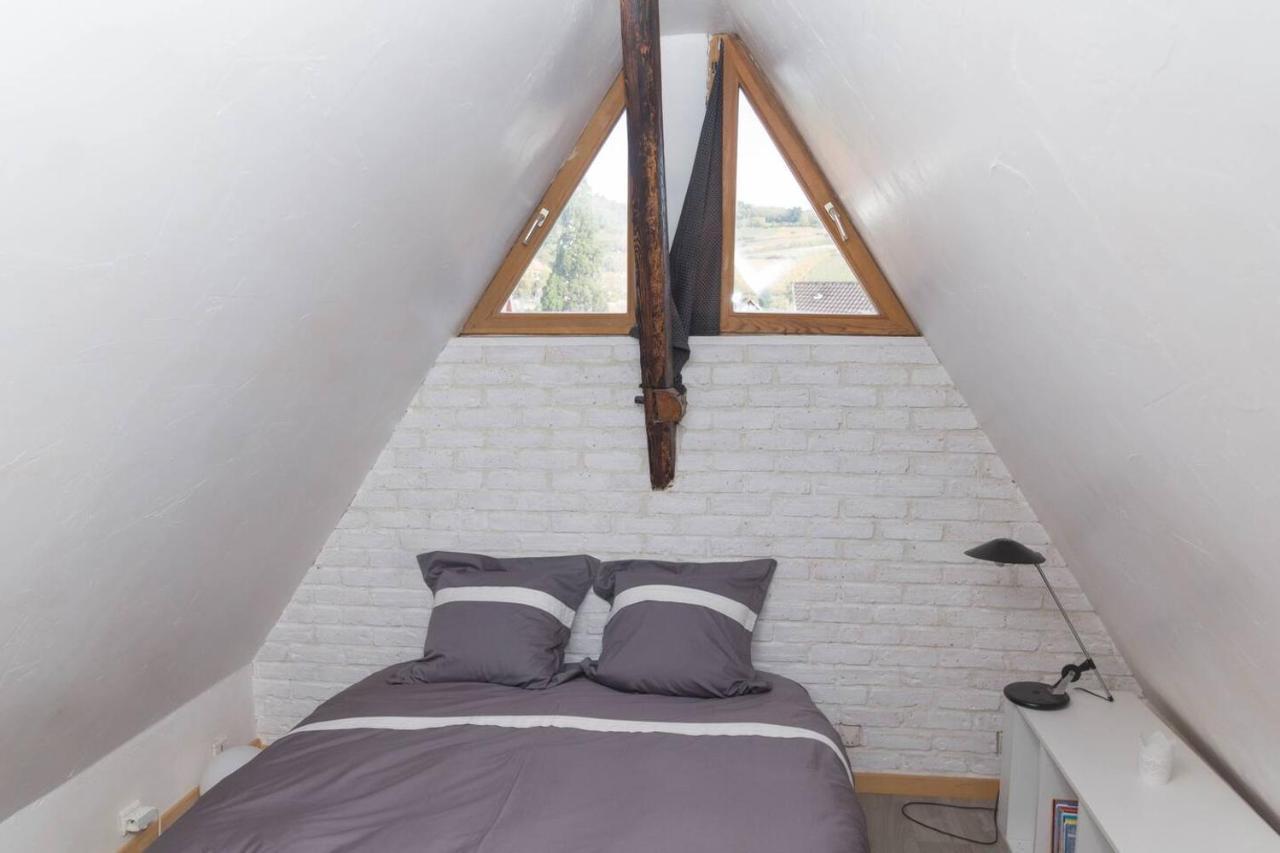 Charmant Appartement Alsacien Ribeauvillé Buitenkant foto